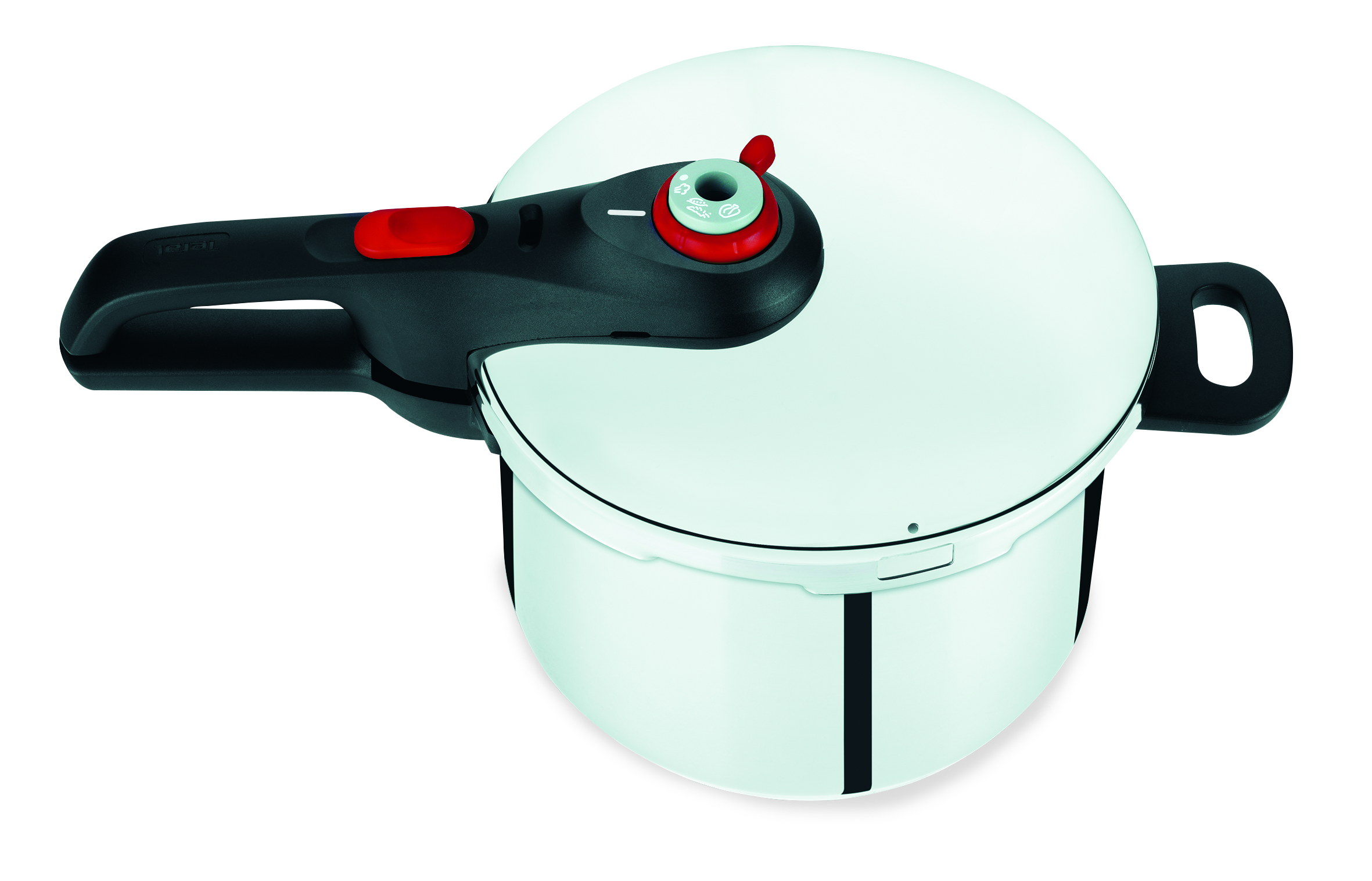 Tefal Fast & Easy Induction Stainless Steel Pressure Cooker 6L